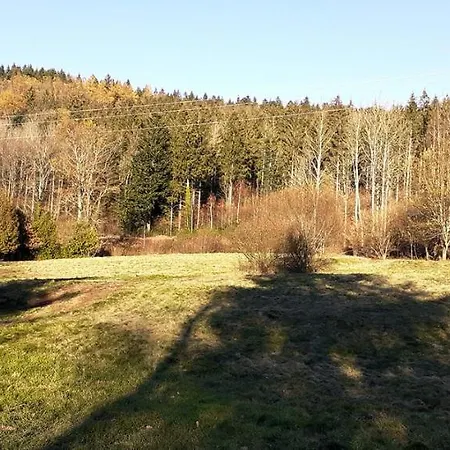 Au Des Mazes * Ban-sur-Meurthe-Clefcy