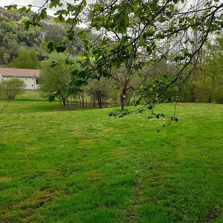 Au Des Mazes